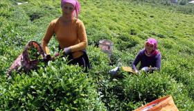 المنتجات والسلع الغذائية التركية تعود إلى روسيا بقرار من الحكومة الروسية