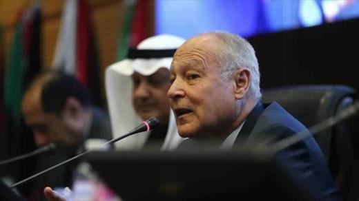 أبو الغيط يعتبر الاعتراف بالدولة الفلسطينية وعاصمتها القدس هو الرد العملي على قرار ترامب