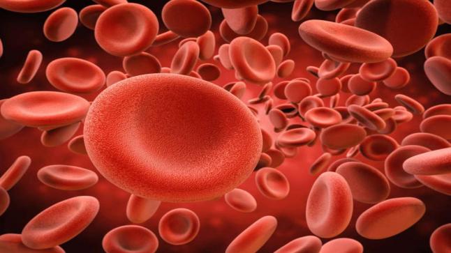 علاج فقر الدم بعدة طرق مختلفة