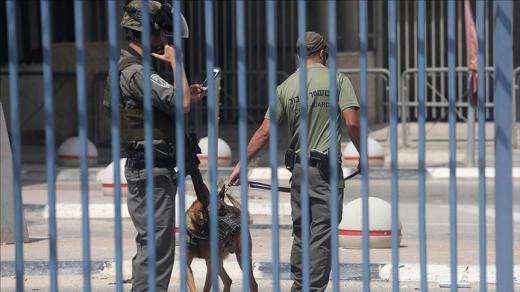 الاحتلال الإسرائيلي يركب بوابات إلكترونية في البلدة لقديمة والابواب المؤدية للمسجد الأقصى