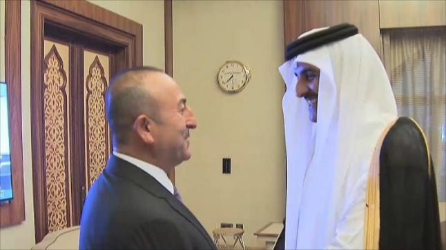 وزير الخارجية التركي ينهي مباحثاته مع الأمير القطري ويتوجه للكويت لإيجاد مخرج للأزمة الخليجية