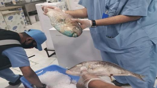 أغلاق مطعم أسماك بعد تقديم بلاغ من مواطن