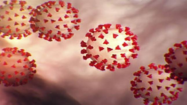 منظمة الصحة العالمية تدرس تعديل بروتوكول علاج فيروس كورونا
