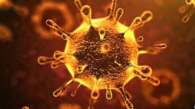 ارتفاع حرارة الصيف تؤدي إلى موت ٩٠% من فيروس كورونا المستجد