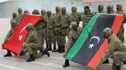 الإمارات : التدخل التركي غير مرغوب فيه داخل العالم العربي