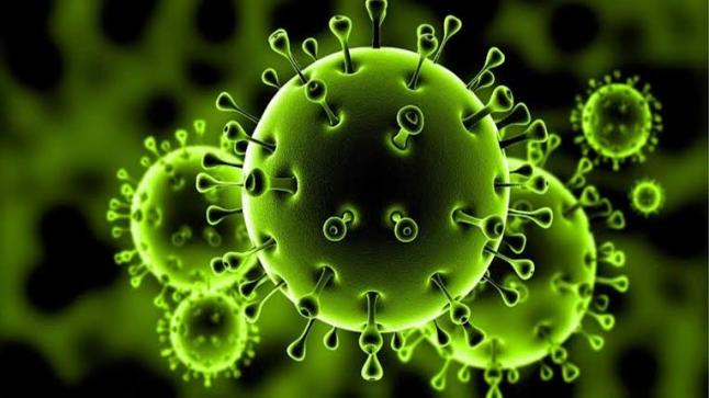 طرق هامة للوقاية من الإصابة بفيروس كورونا المستجد
