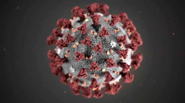 موعد ظهور لقاح فيروس كورونا في العالم