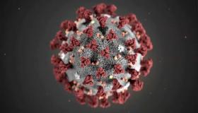 بالتفاصيل خطوات الوقاية من فيروس كورونا