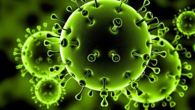 بكين تفرض إجراءات مشددة لمواجهة فيروس كورونا