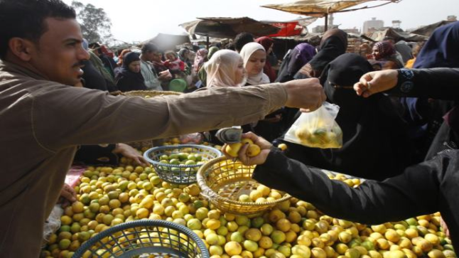 هبوط في أسعار الفاكهة والخضار في الأسواق المصرية بشكل خفيف